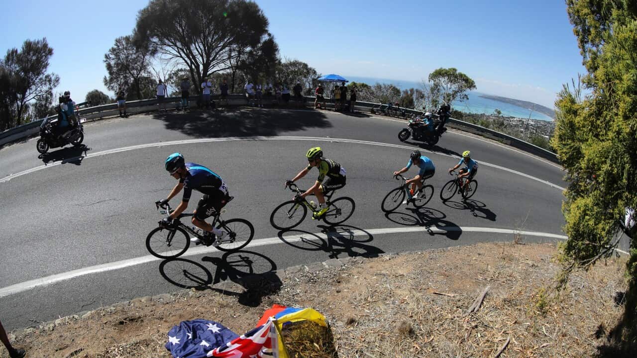 Alistair Donohoe,Pro Racing Sunshine Coast, Jayco Herald Sun Tour