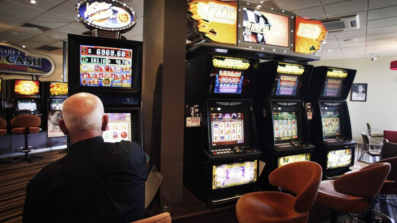 A man plays a pokie machine at a club
