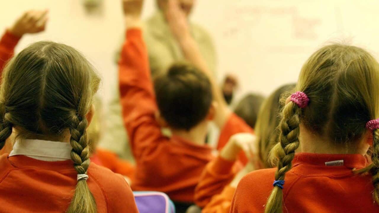 Primary school pupils.