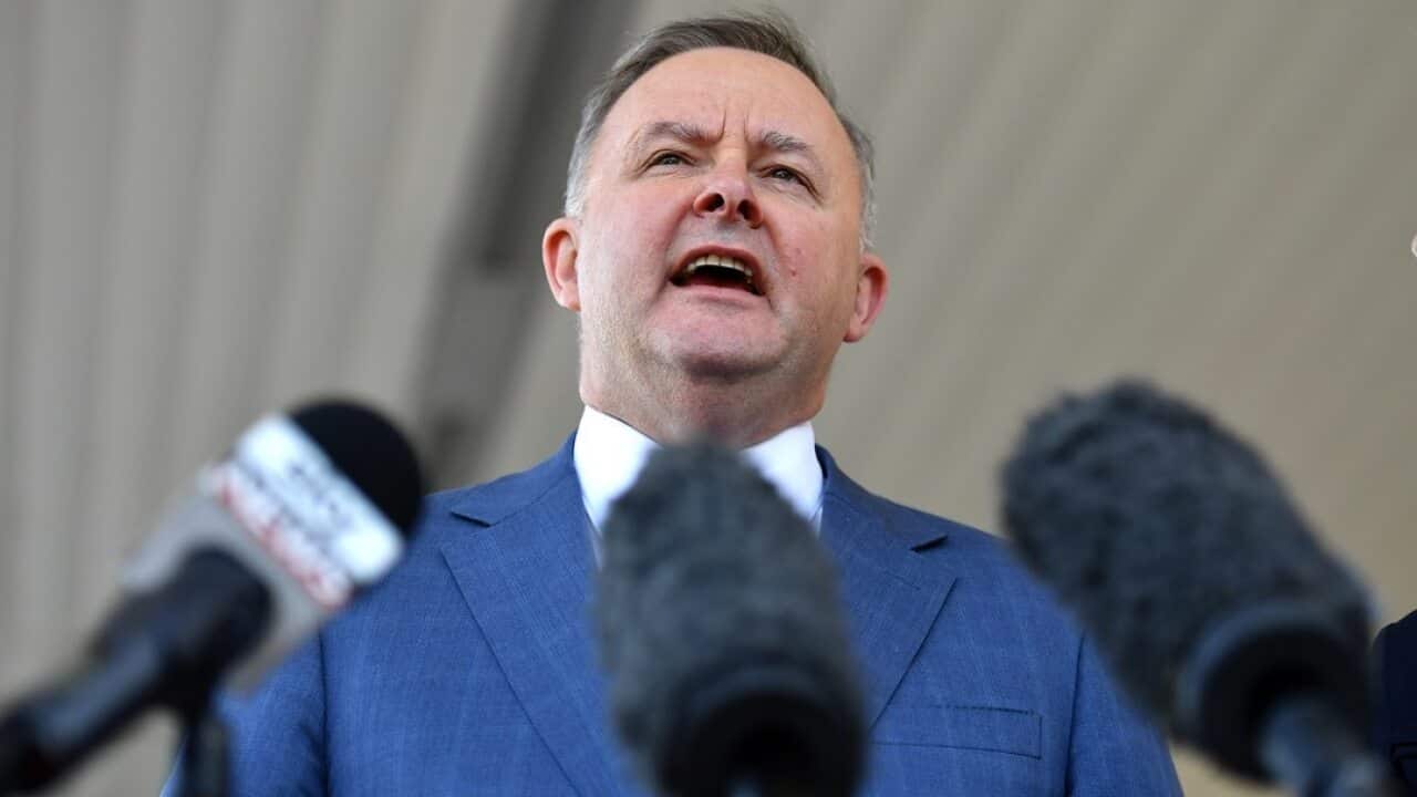 Senior Labor frontbencher Anthony Albanese has refrained from making comments on Emma Husar until the investigation is completed.