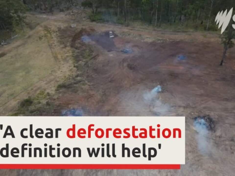 Australia's supermarket giants are facing pressure from an environmental group to stop selling beef linked to deforestation.