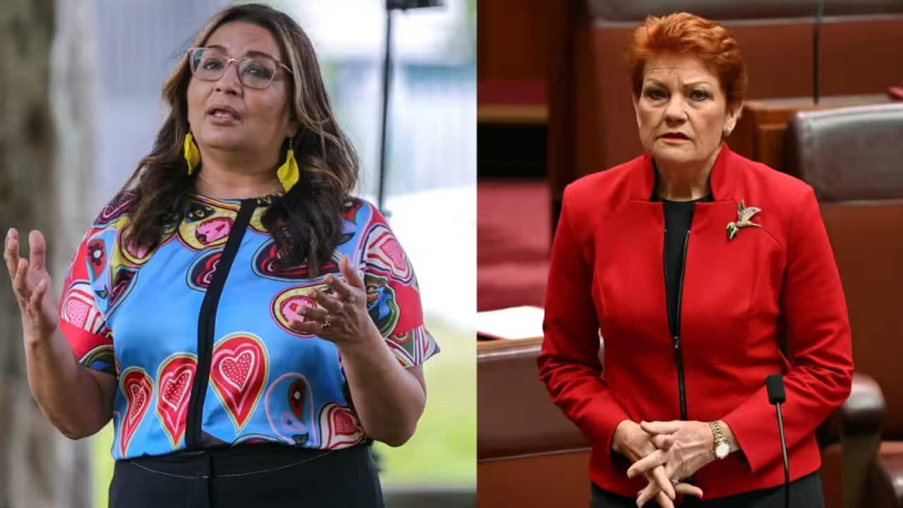mehreen faruqi pauline hanson.avif.png