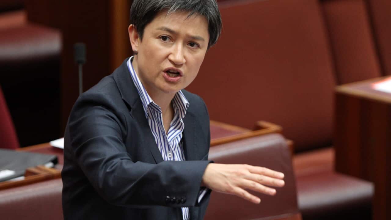 Labor Senator Penny Wong