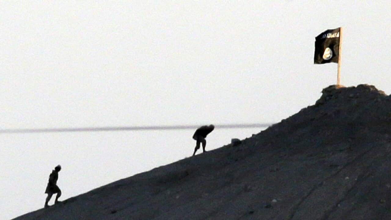 Islamic State members with a group's flag on a hilltop