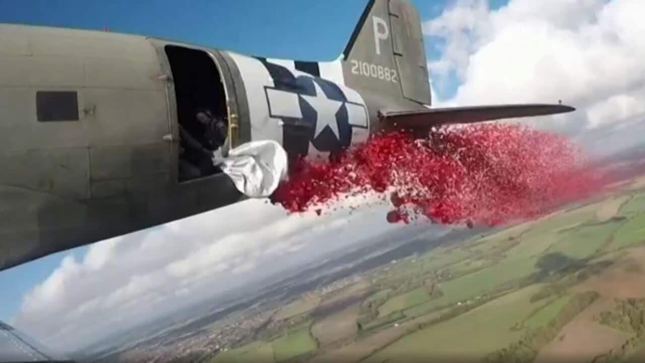 Remembrance Day poppies dropped over Dover