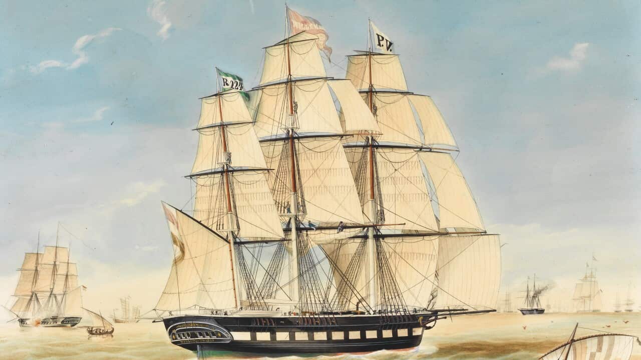 Image for read more article 'MEER OVER DE KONING WILLEM II'