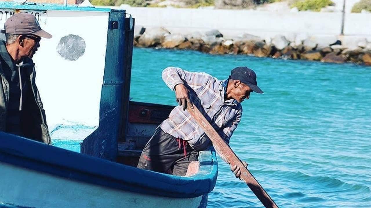 Overfishing