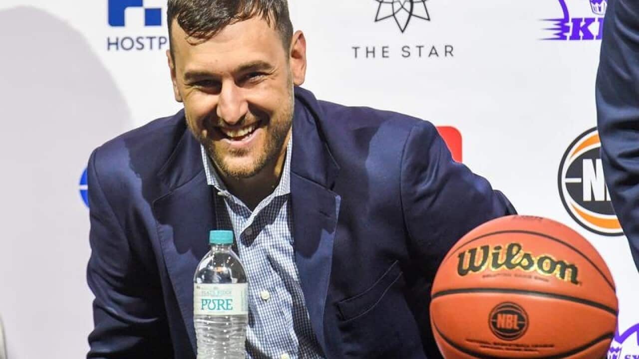Andrew Bogut.