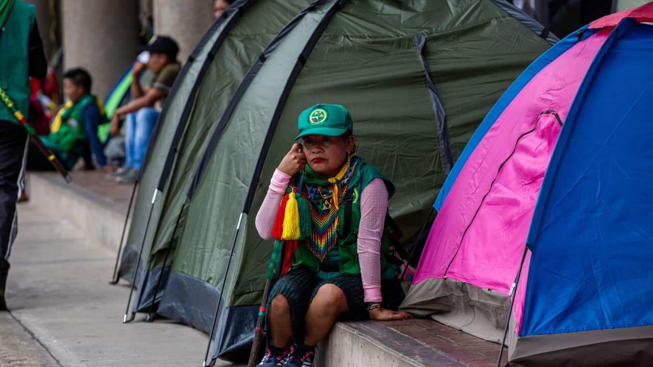 Image for read more article 'Más información:'