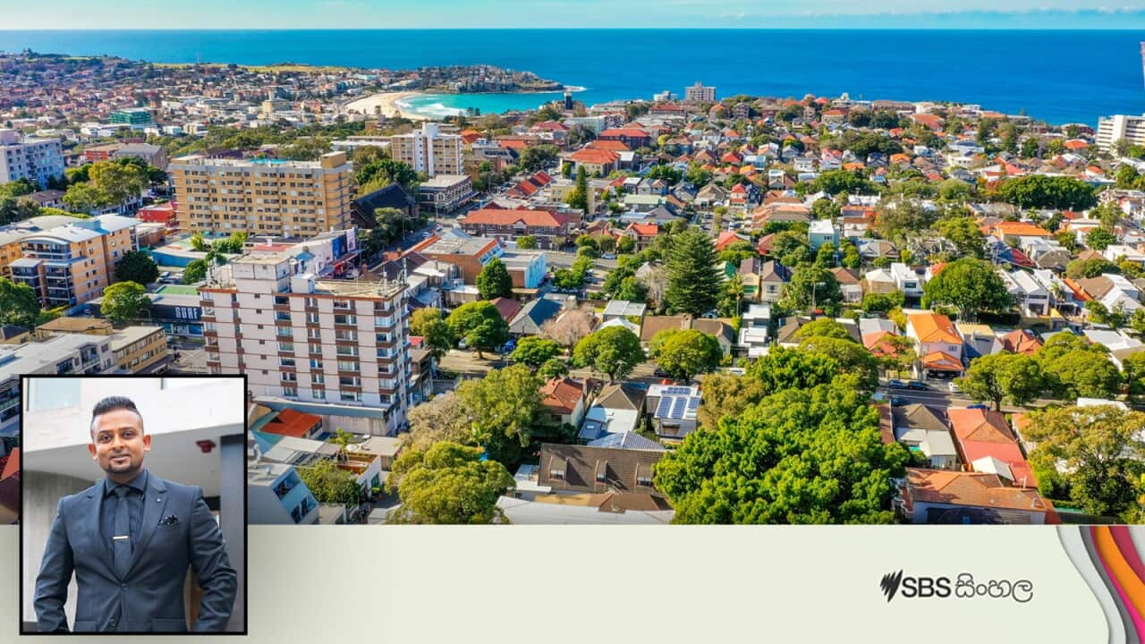 Interview Housing.jpg