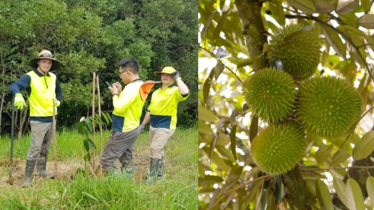 Image for read more article ''