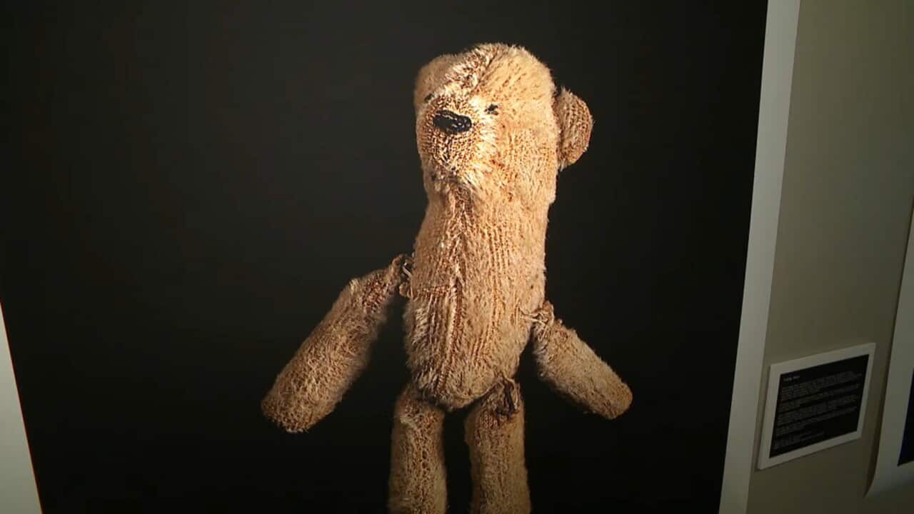 The boy's teddy bear