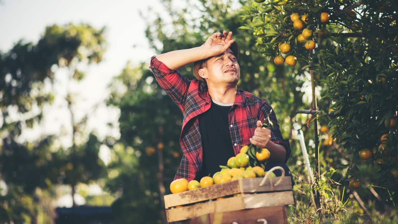 Image for read more article 'READ MORE'