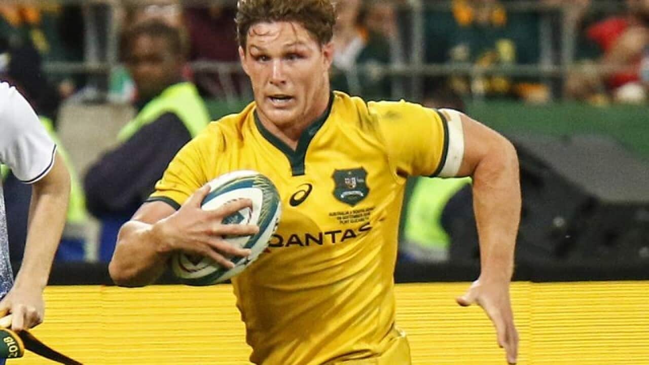 Michael Hooper of the Wallabies