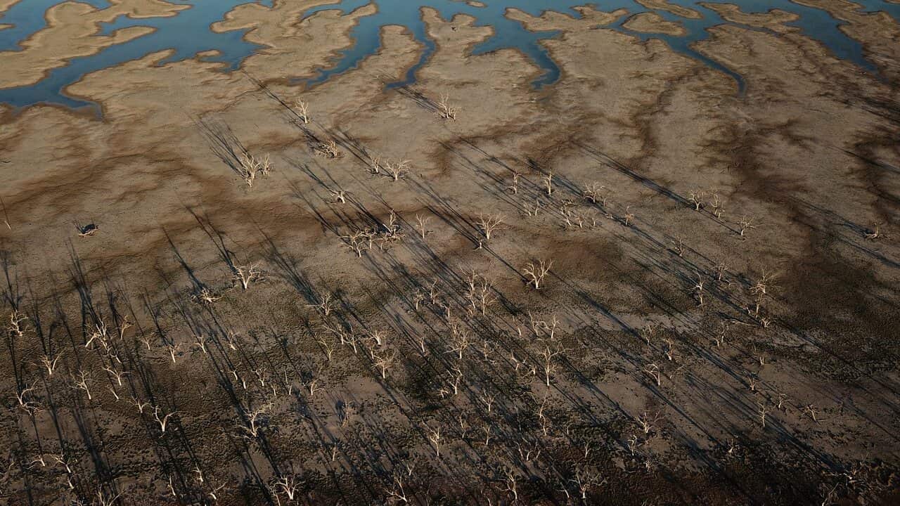 The Darling River and the Menindee Lakes are under pressure from low water flow as a result of the continuing drought.