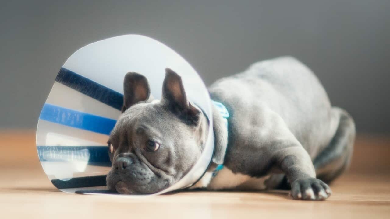 Image for read more article ''