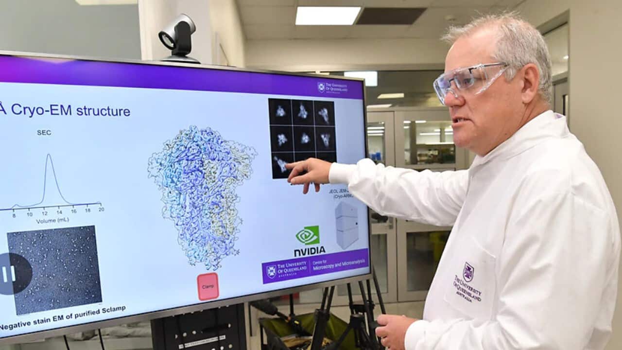 Australians will receive their first coronavirus vaccinations in February