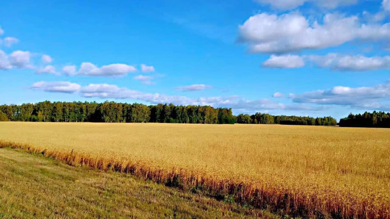 Image for read more article 'READ MORE'