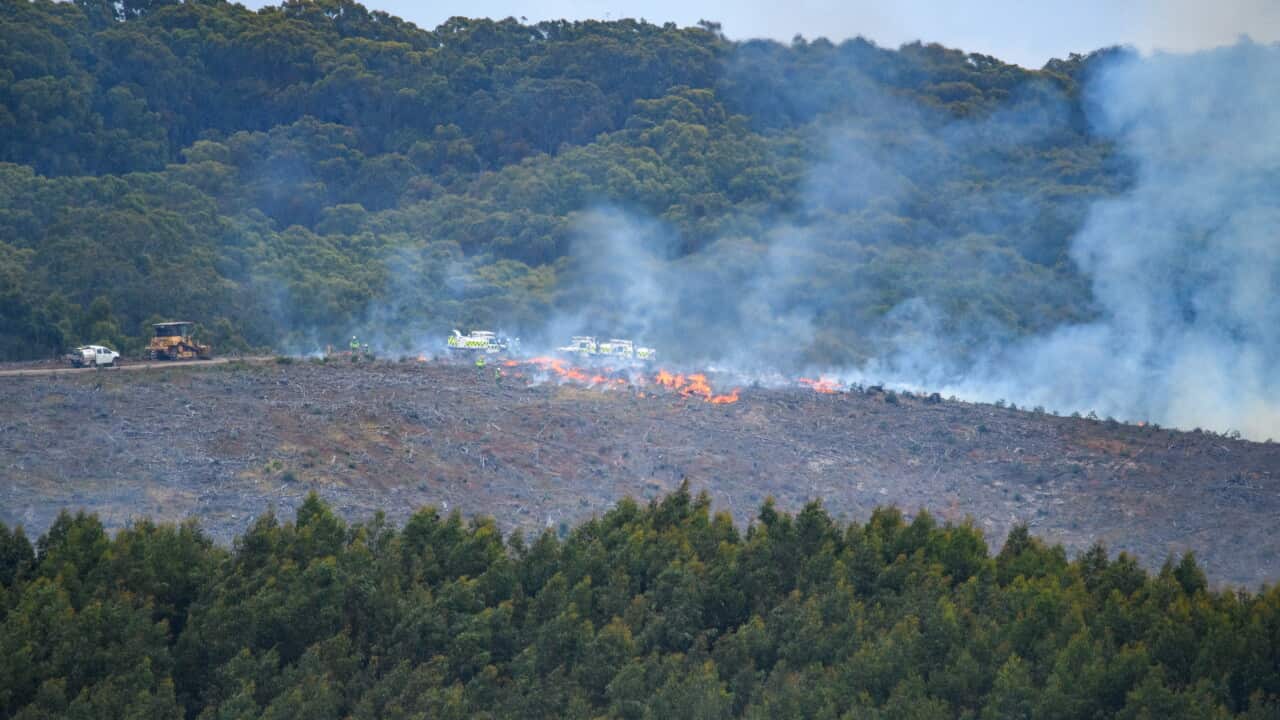 Smoke rises around four vehicles close to a fire in a forest.