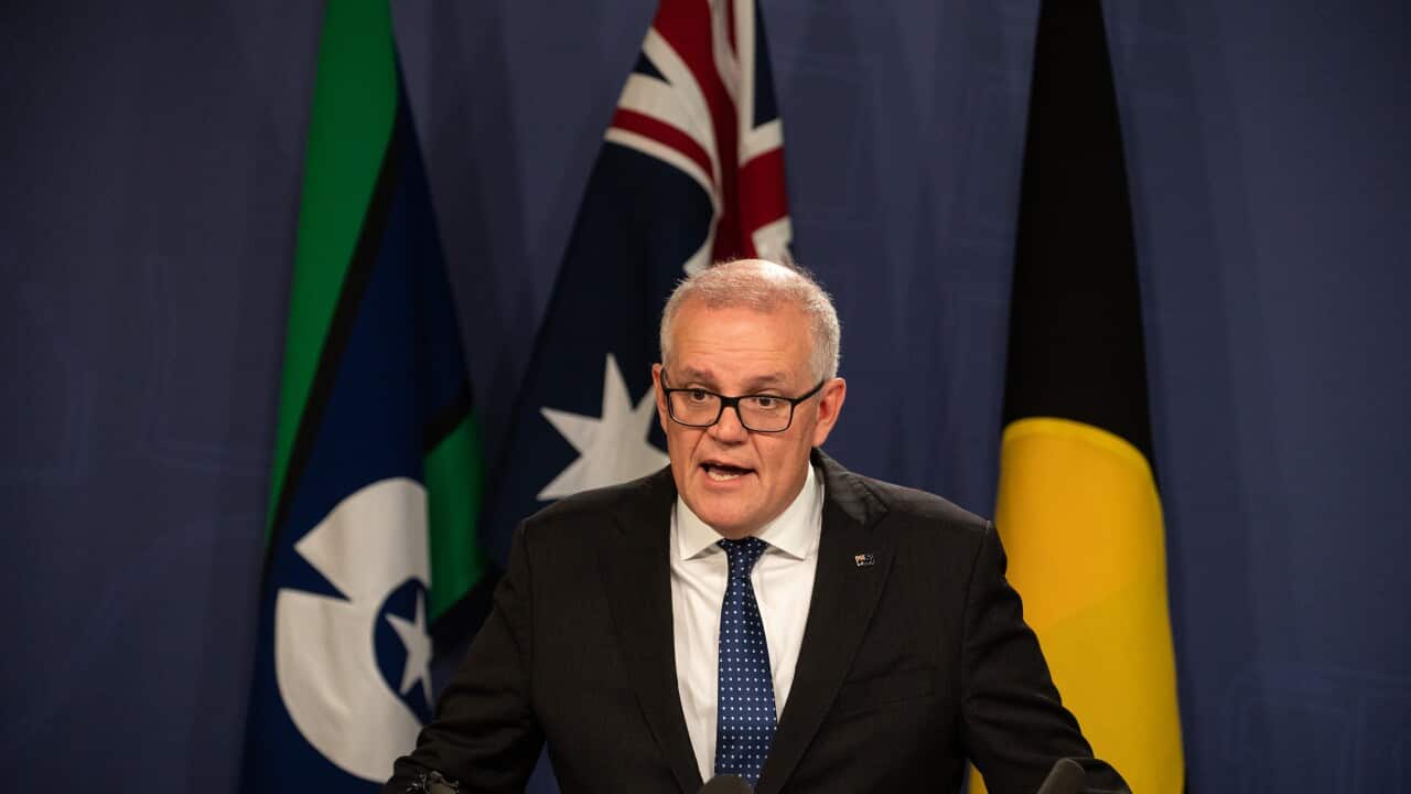 SCOTT MORRISON PRESSER