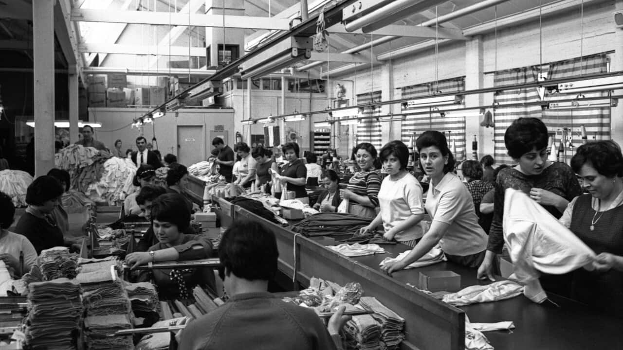 Italian immigrants working at a tailor's shop in Australia
