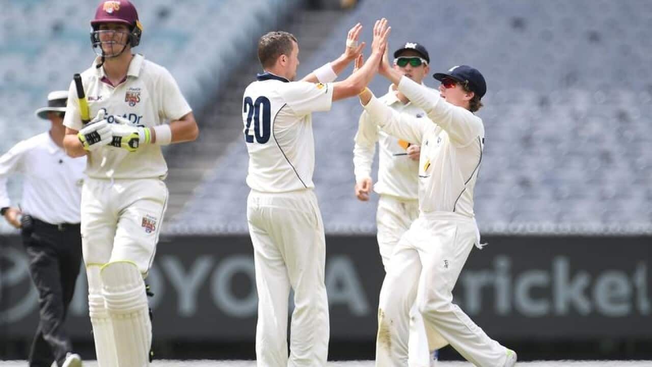 Jack Wildermuth of Queensland is bowled out by Victoria's Peter Siddle