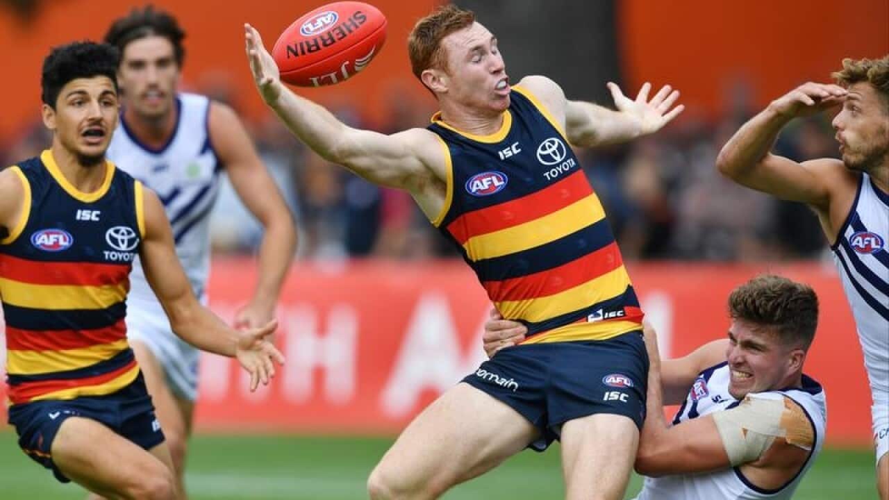 Tom Lynch