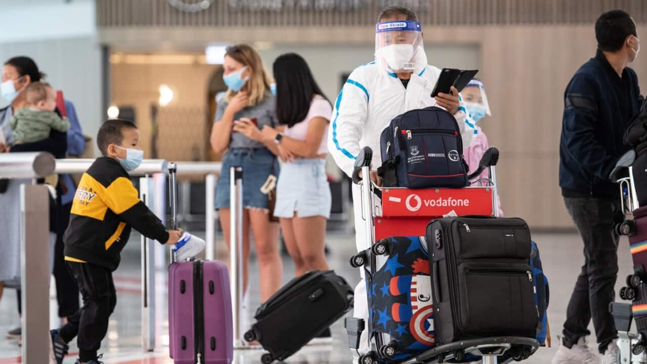 Image for read more article 'Veja também:'