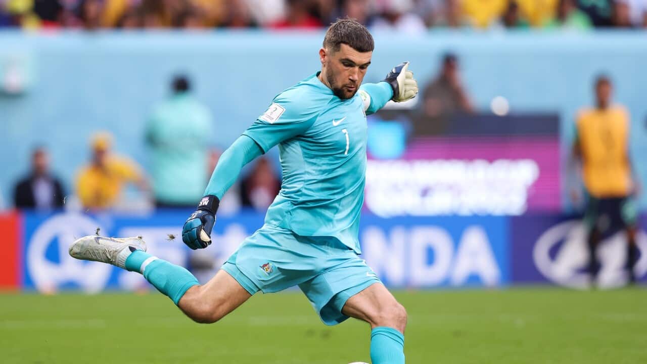 Tunisia v Australia: Group D - FIFA World Cup Qatar 2022