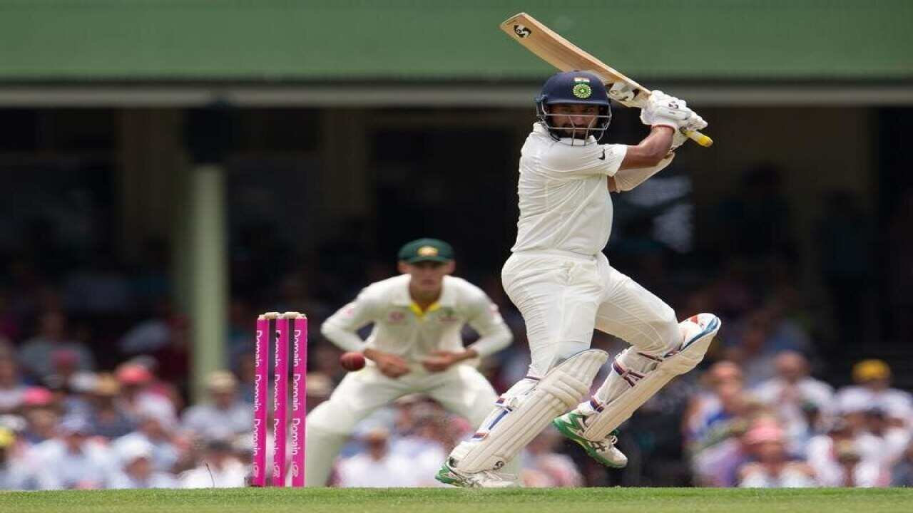 cricket