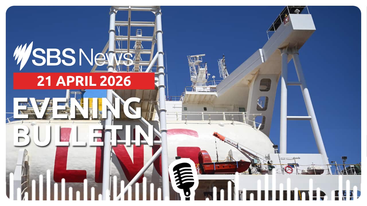 AFTERNOON BULLETIN.png