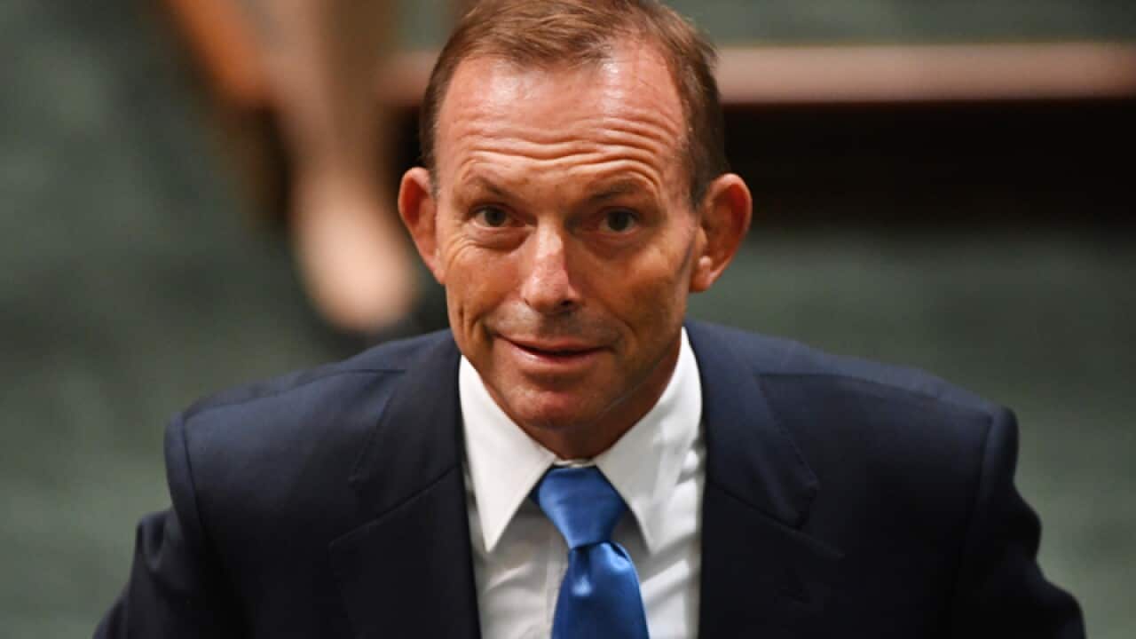 Former prime minister Tony Abbott