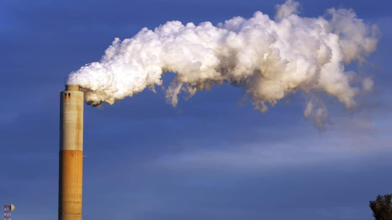 (File Image) A plume of steam billows from the coal-fired Merrimack Station in Bow, New Hampshire, in January 2015.
