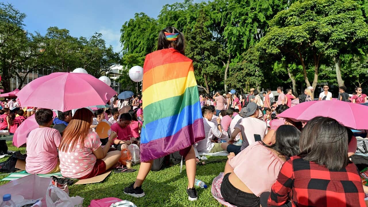 Attendees at Singapore's annual "Pink Dot" event, a public show of support for the LGBTQI+ community.