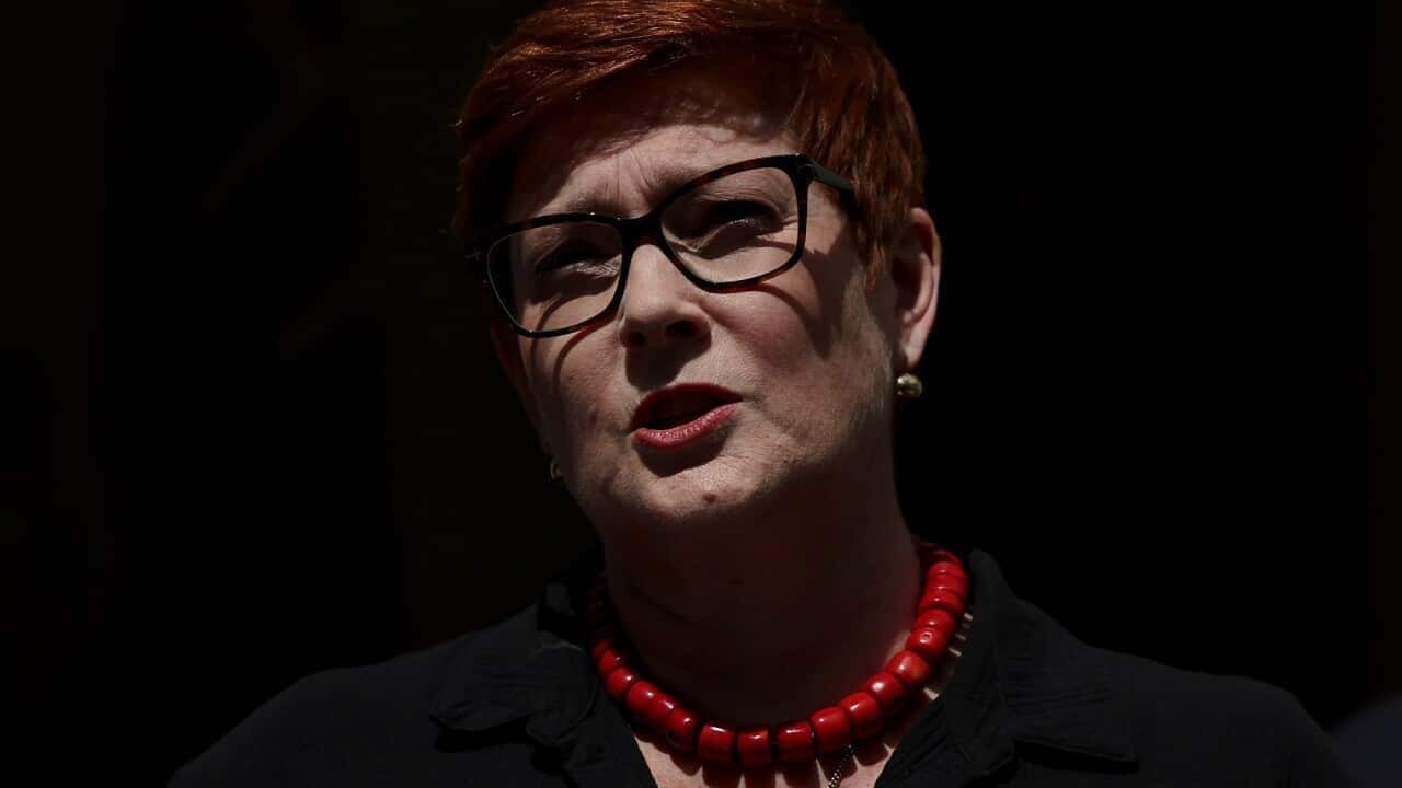 سناتور ماریس پین، وزیر امور خارجه آسترالیا