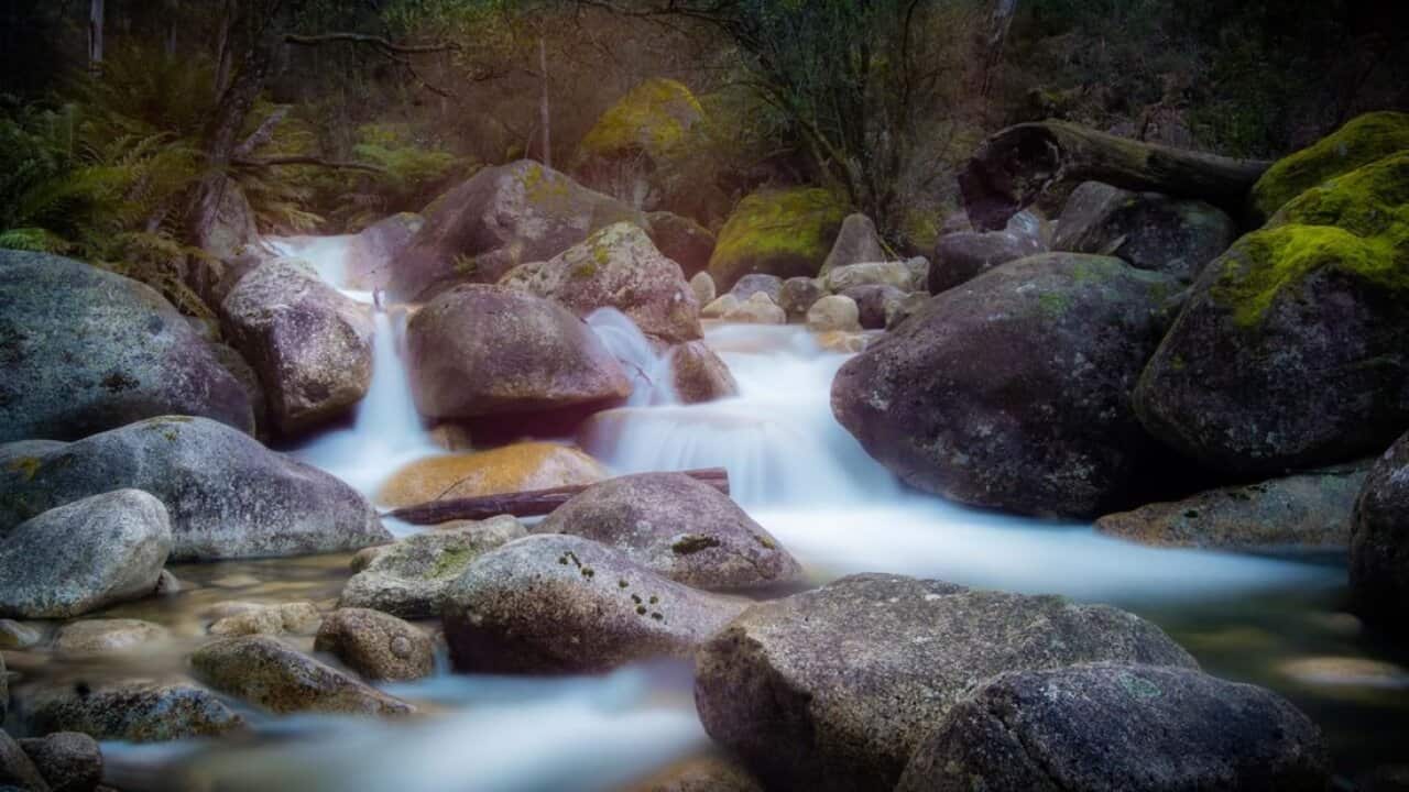 Just a few kilometers from the base of Mount Buffalo, Ladies Bath Falls is a perfect pause point for a dip on a warm day
