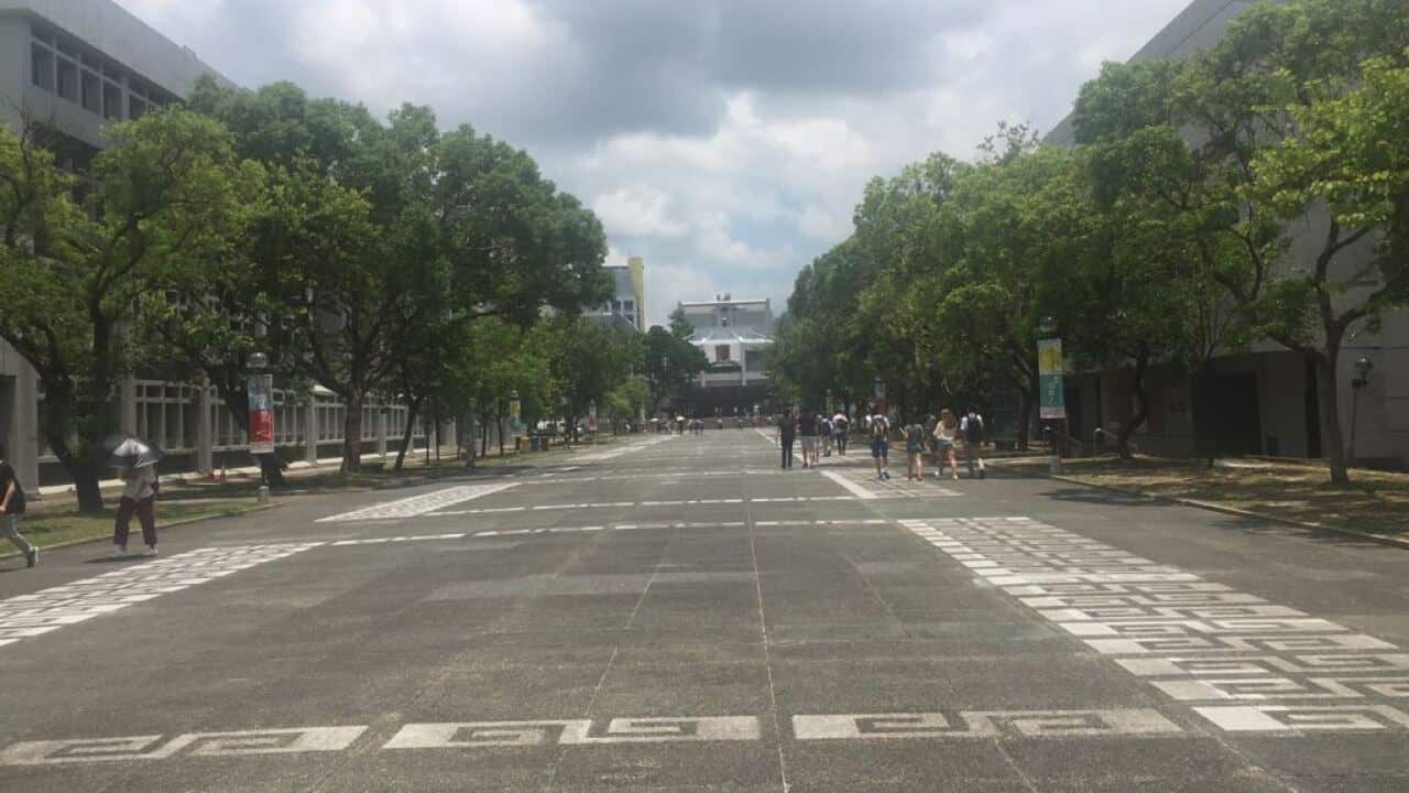 Image for read more article 'READ MORE'