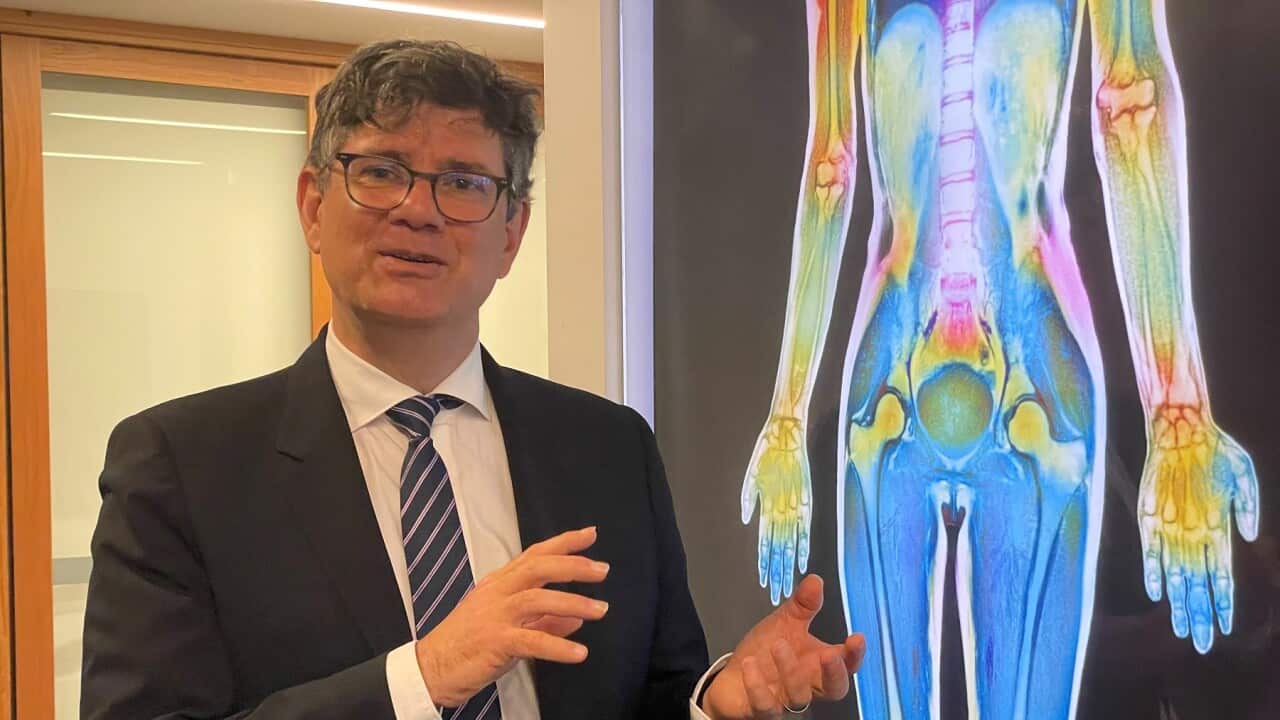 Doctor David Thomas, from the Garvan Institute of Medical Research (SBS).jpg