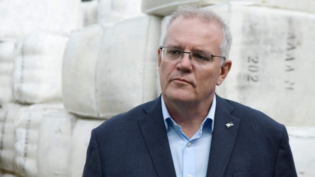 Prime Minister Scott Morrison looks on during a press conference