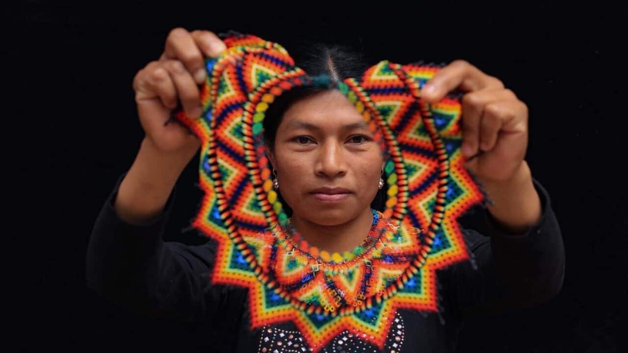 Mamiwatta Collections