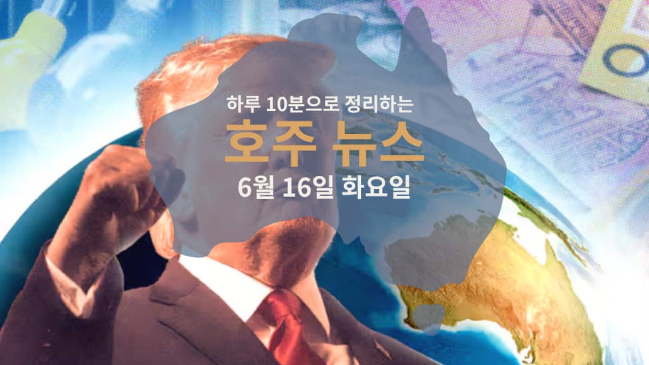 Daily News (2).png