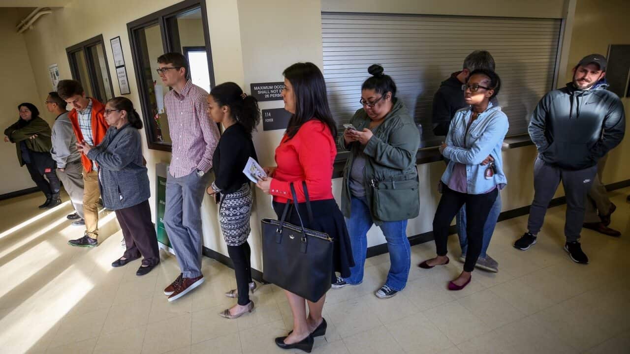 Texas primary voting