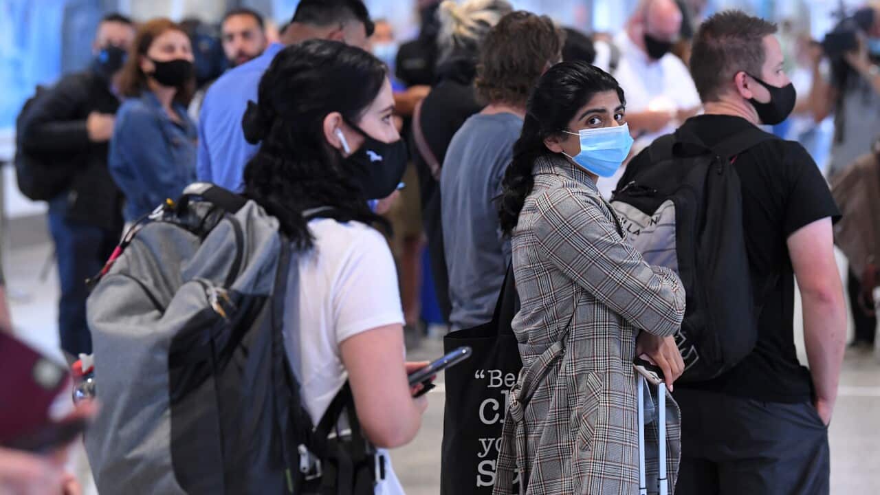 MELBOURNE SYDNEY FLIGHTS