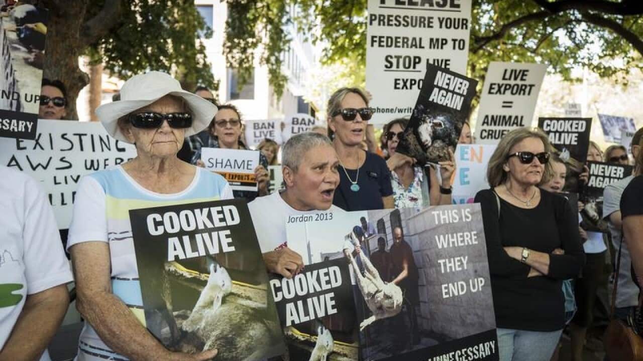 Protesters outside the offices of Emanuel Exports in Perth