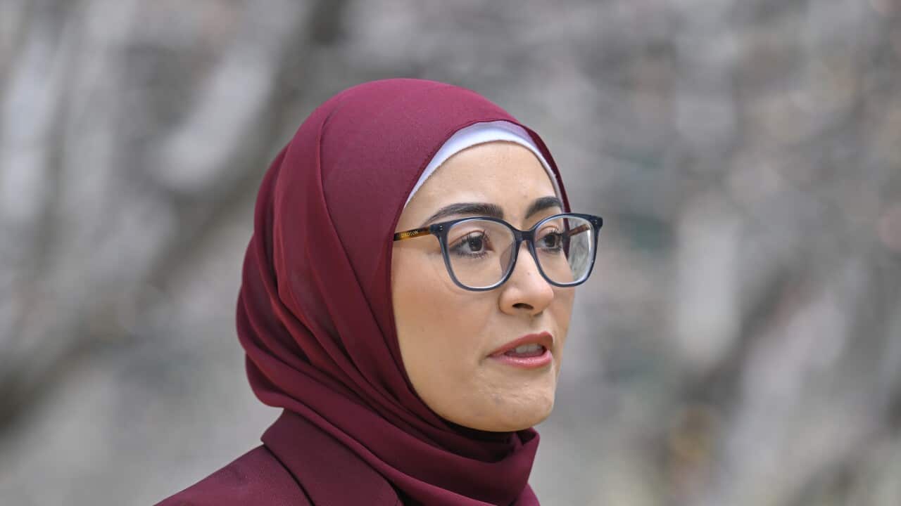 FATIMA PAYMAN PRESSER