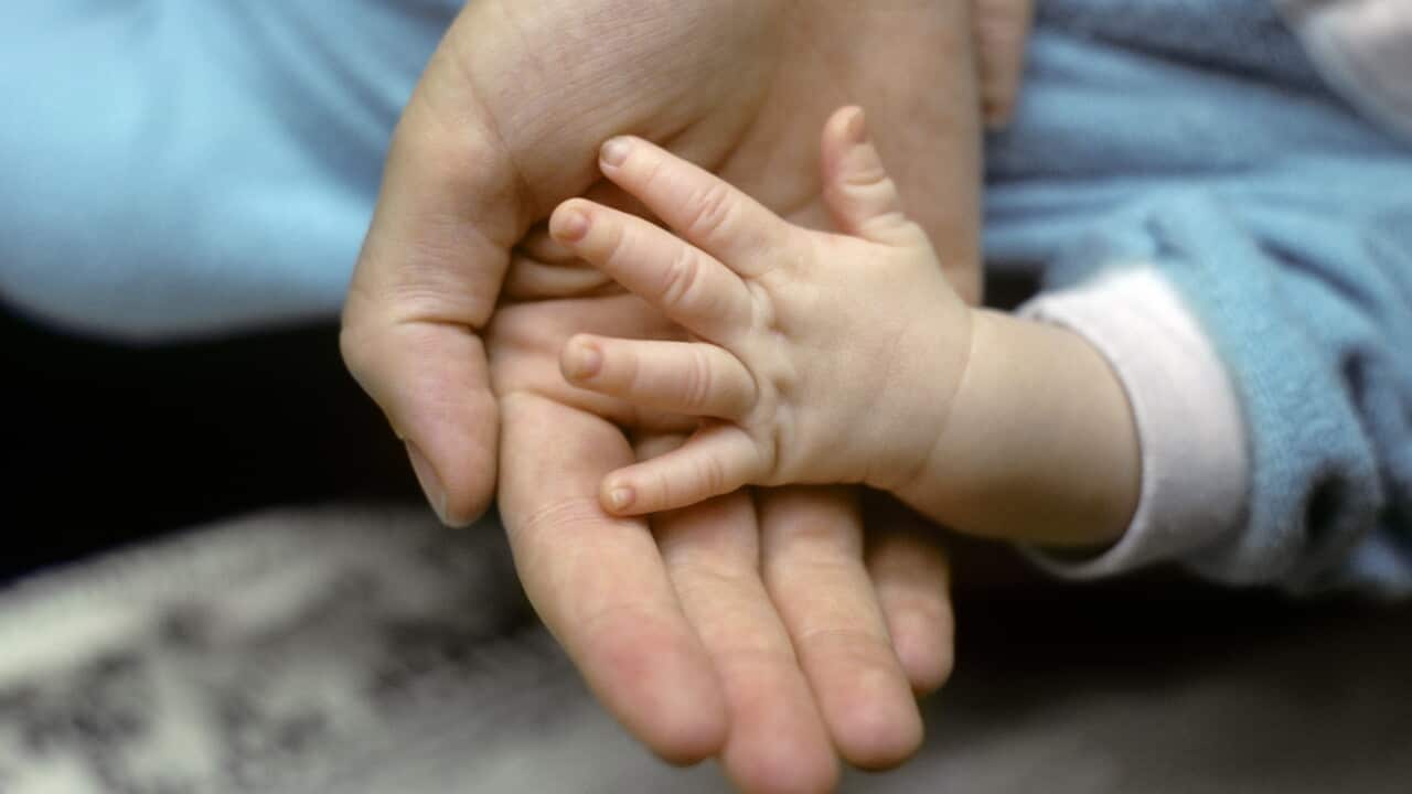 A baby's hand rests gently in an adult's open palm, symbolising care, family and the bond between parent and child.