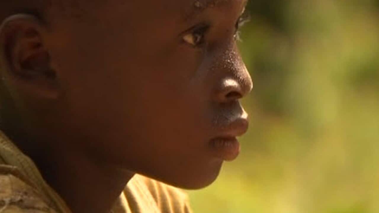 Child_labour_ivory_coast_b_111129_BBC_1348324246