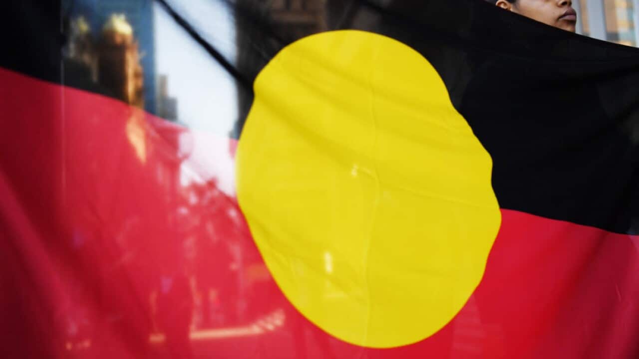 indigenous flag