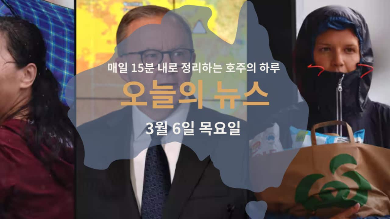 040325 (2).png