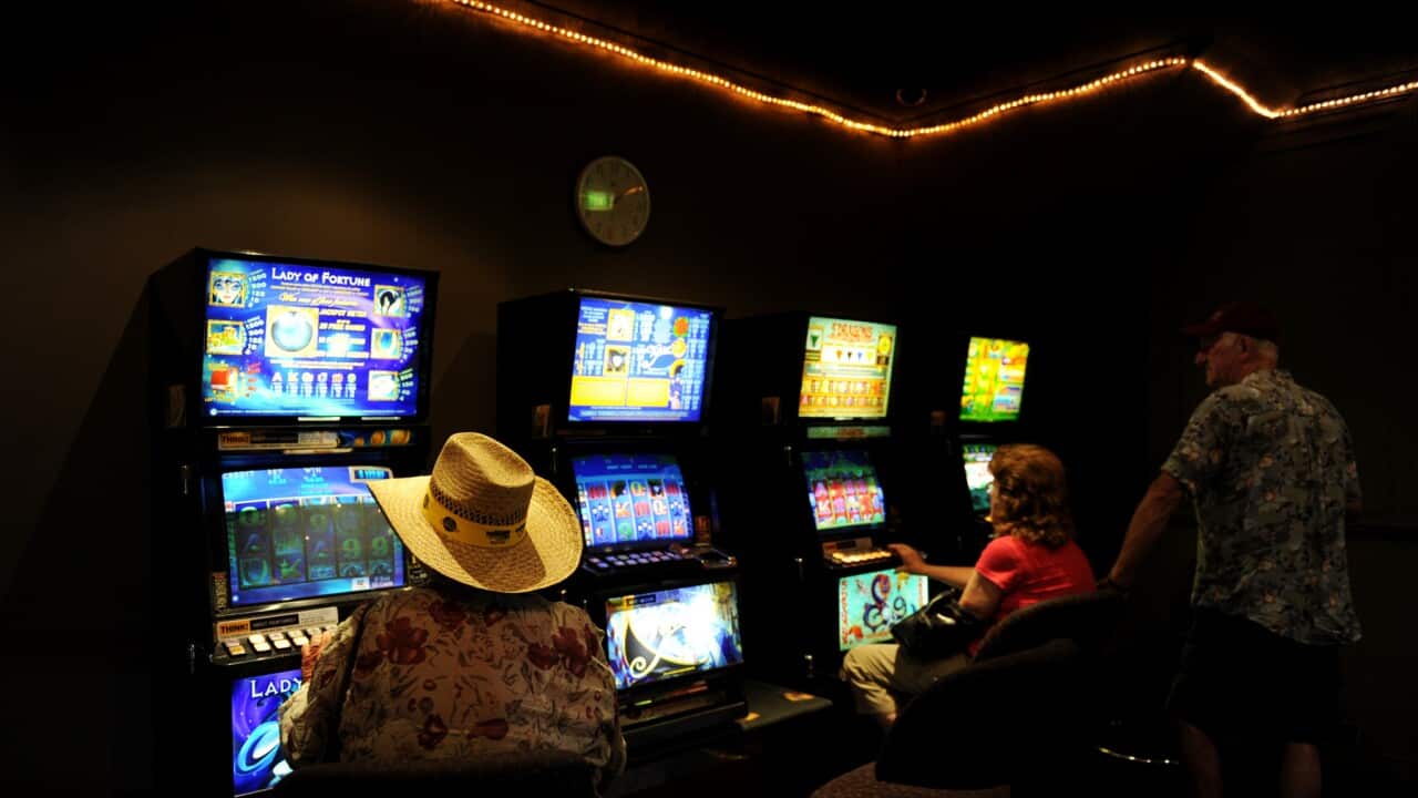 Punters on poker machines